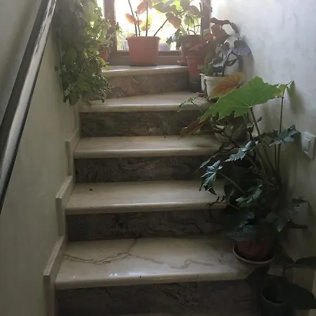 Casa de hóspedes Presiqna